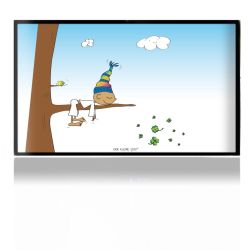 Folien für Spielekonsolen matt