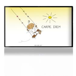 Folien für Spielekonsolen matt