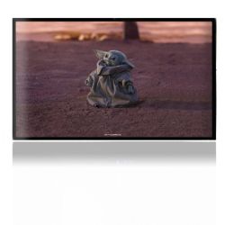 Folien für Spielekonsolen matt