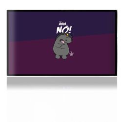 Folien für Spielekonsolen matt