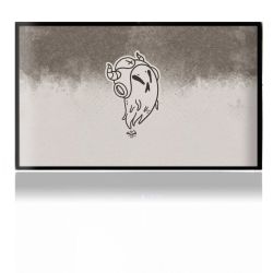 Folien für Spielekonsolen matt