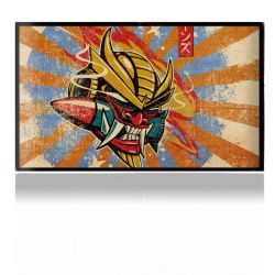 Folien für Spielekonsolen matt