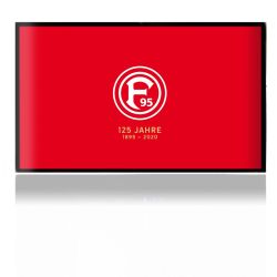 Folien für Spielekonsolen matt