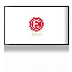 Folien für Spielekonsolen matt