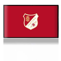 Folien für Spielekonsolen matt