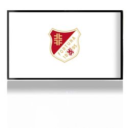 Folien für Spielekonsolen matt