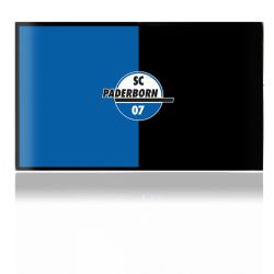 Folien für Spielekonsolen matt