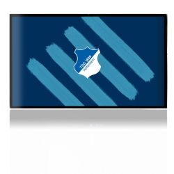 Folien für Spielekonsolen matt