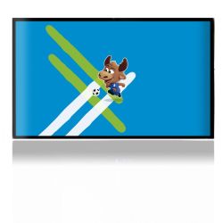 Folien für Spielekonsolen matt