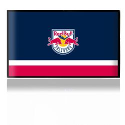 Folien für Spielekonsolen matt