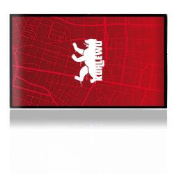 Folien für Spielekonsolen matt