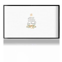 Folien für Spielekonsolen matt