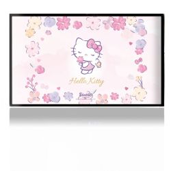 Folien für Spielekonsolen matt