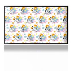 Folien für Spielekonsolen matt