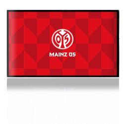 Folien für Spielekonsolen matt