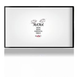 Folien für Spielekonsolen matt