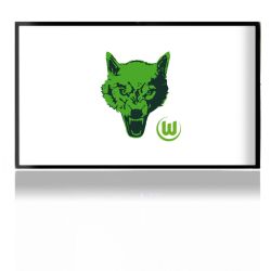 Folien für Spielekonsolen matt