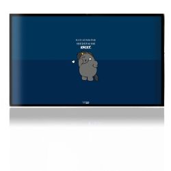 Folien für Spielekonsolen matt