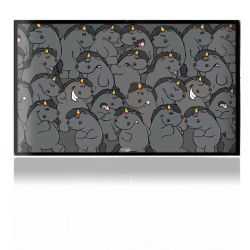 Folien für Spielekonsolen matt