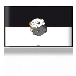 Folien für Spielekonsolen matt