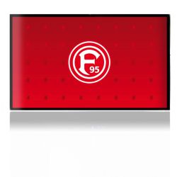 Folien für Spielekonsolen matt