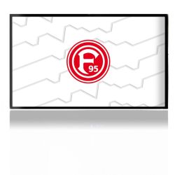 Folien für Spielekonsolen matt