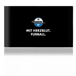 Folien für Spielekonsolen matt