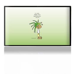 Folien für Spielekonsolen matt