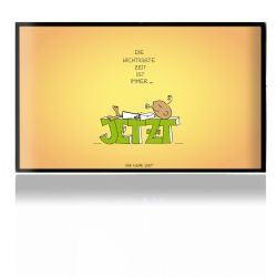 Folien für Spielekonsolen matt