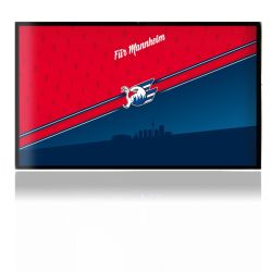 Folien für Spielekonsolen matt