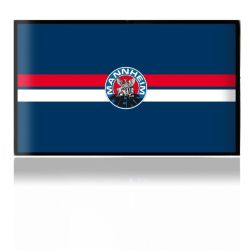 Folien für Spielekonsolen matt