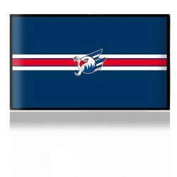 Folien für Spielekonsolen matt