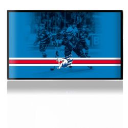 Folien für Spielekonsolen matt