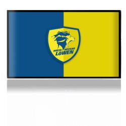 Folien für Spielekonsolen matt