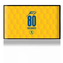 Folien für Spielekonsolen matt