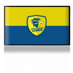 Folien für Spielekonsolen matt