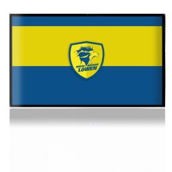 Folien für Spielekonsolen matt