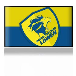 Folien für Spielekonsolen matt