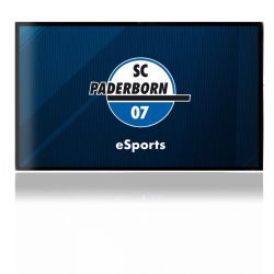 Folien für Spielekonsolen matt