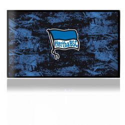 Folien für Spielekonsolen matt