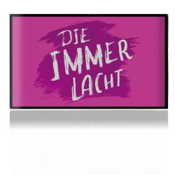 Folien für Spielekonsolen matt