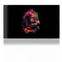 Folien für Spielekonsolen matt