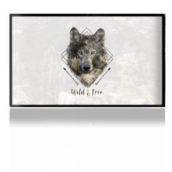 Folien für Spielekonsolen matt