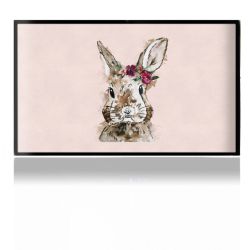 Folien für Spielekonsolen matt