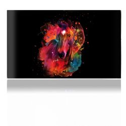 Folien für Spielekonsolen matt