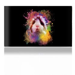 Folien für Spielekonsolen matt