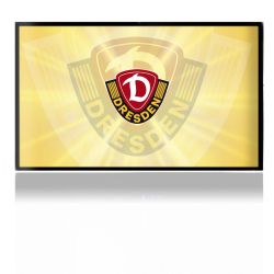 Folien für Spielekonsolen matt