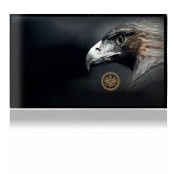 Folien für Spielekonsolen matt