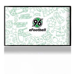 Folien für Spielekonsolen matt