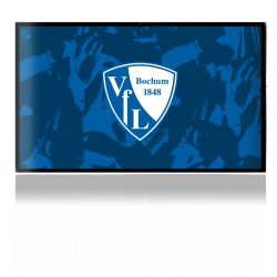 Folien für Spielekonsolen matt